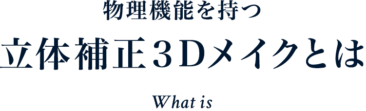 立体補正３Dメイクとは What is